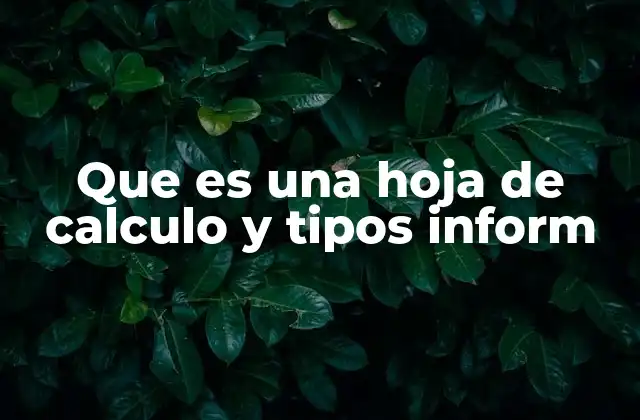 Que es una Hoja de Calculo y Tipos Inform