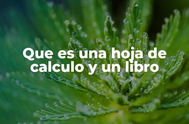 Que es una Hoja de Calculo y un Libro
