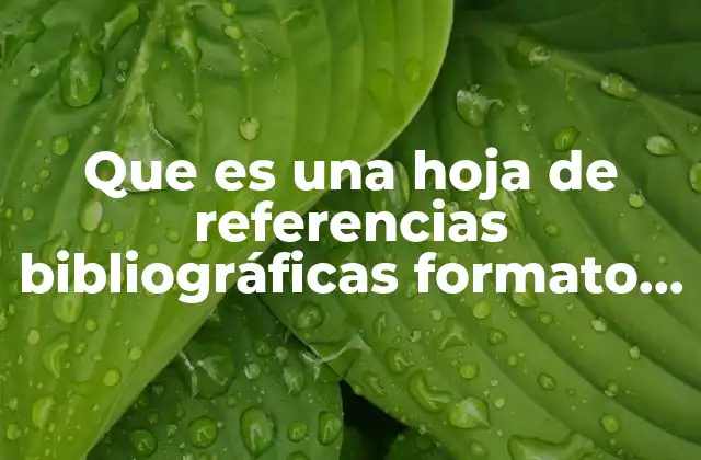 Que es una Hoja de Referencias Bibliográficas Formato Apa