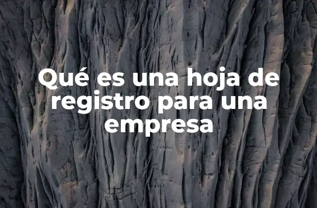 Qué es una Hoja de Registro para una Empresa
