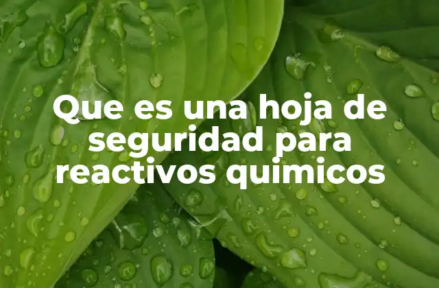 Que es una Hoja de Seguridad para Reactivos Quimicos