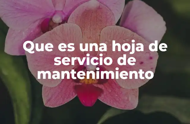Que es una Hoja de Servicio de Mantenimiento