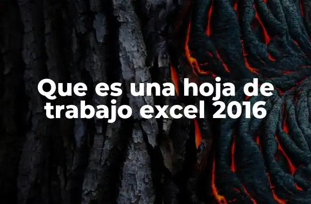Que es una Hoja de Trabajo Excel 2016