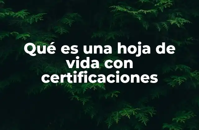 Qué es una Hoja de Vida con Certificaciones
