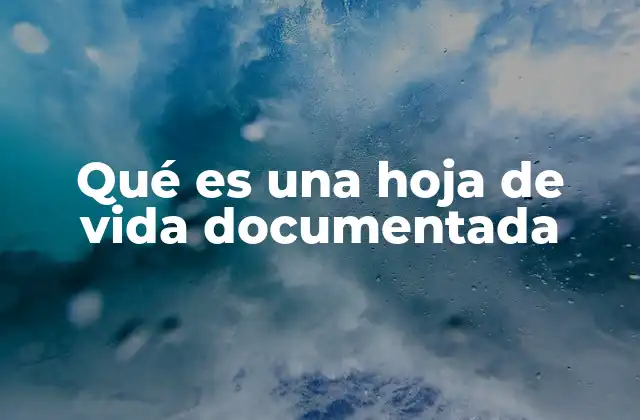 Qué es una Hoja de Vida Documentada 2 La importancia de una hoja de vida bien elaborada
