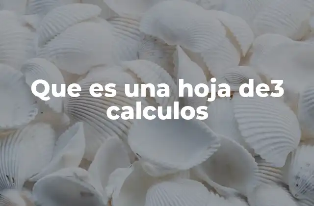 Que es una Hoja De3 Calculos
