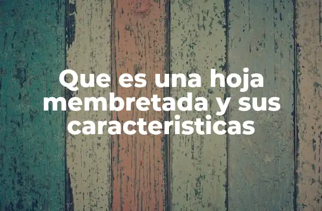 Que es una Hoja Membretada y Sus Caracteristicas 2 La importancia de la identidad corporativa en las hojas membretadas
