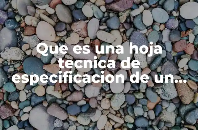 Que es una Hoja Tecnica de Especificacion de un Mesabancos