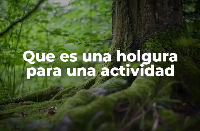 Que es una Holgura para una Actividad