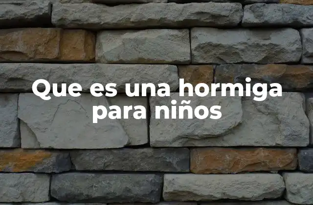 Que es una Hormiga para Niños