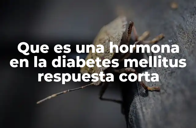 Que es una Hormona en la Diabetes Mellitus Respuesta Corta