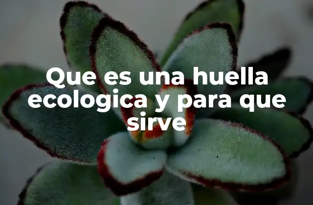 Que es una Huella Ecologica y para que Sirve