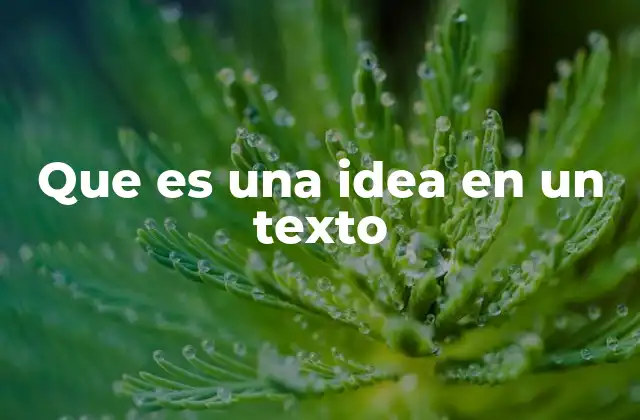 Que es una Idea en un Texto