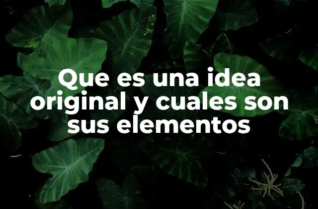 Que es una Idea Original y Cuales Son Sus Elementos
