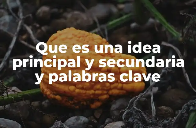 Que es una Idea Principal y Secundaria y Palabras Clave