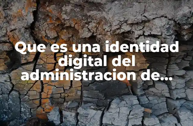 Que es una Identidad Digital Del Administracion de Redes Sociales