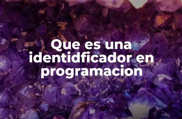Que es una Identidficador en Programacion