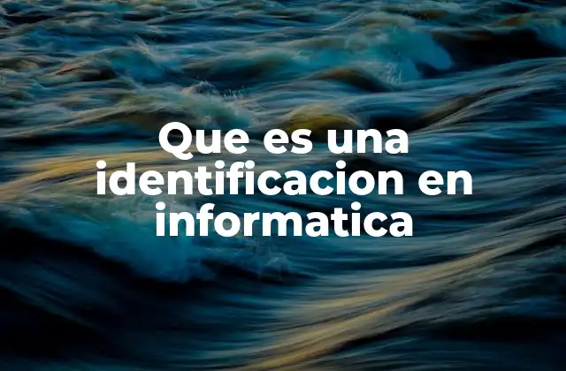Que es una Identificacion en Informatica