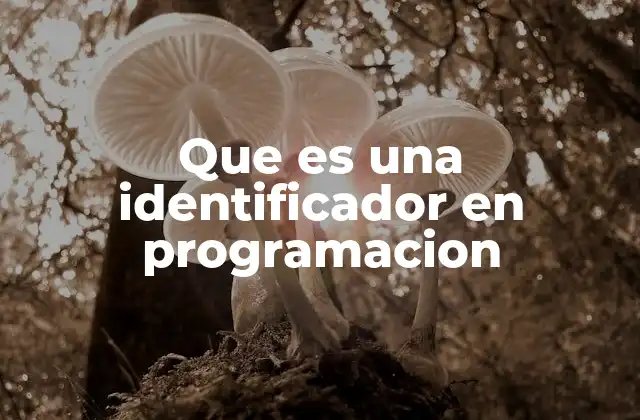 Que es una Identificador en Programacion