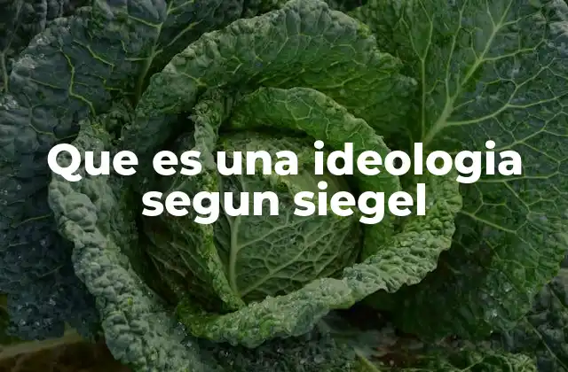 Que es una Ideologia Segun Siegel