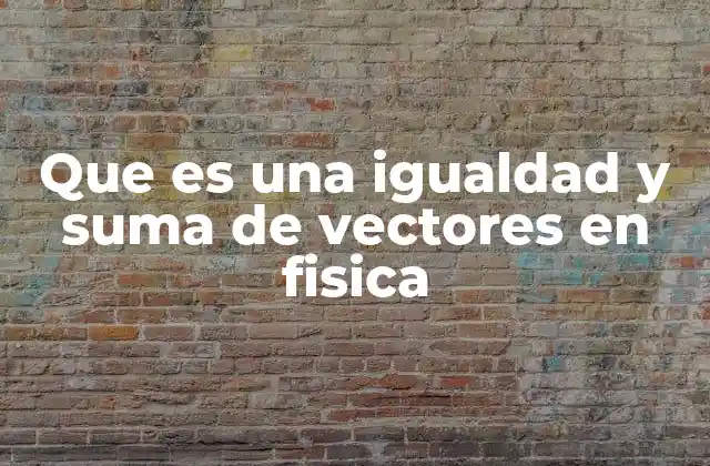 Que es una Igualdad y Suma de Vectores en Fisica