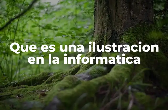 Que es una Ilustracion en la Informatica