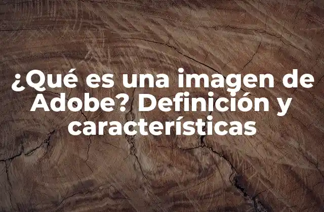 ¿qué es una Imagen de Adobe? Definición y Características