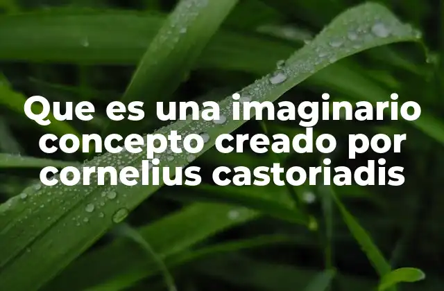 Que es una Imaginario Concepto Creado por Cornelius Castoriadis