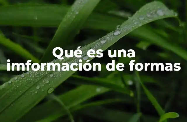 Qué es una Imformación de Formas