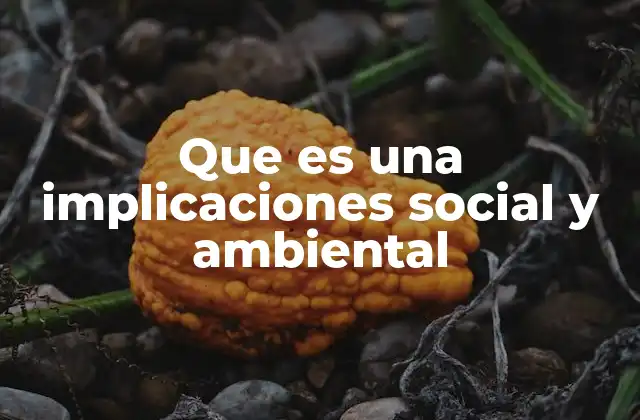 Que es una Implicaciones Social y Ambiental 2 El impacto de las decisiones en el tejido social y ecológico