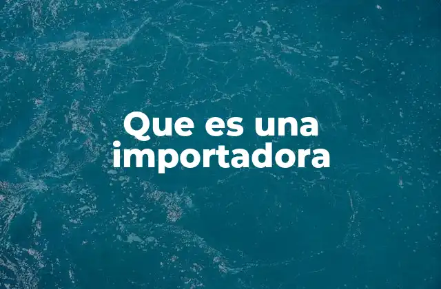 Que es una Importadora