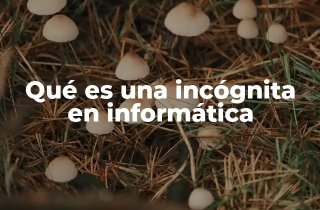 Qué es una Incógnita en Informática