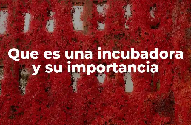 Que es una Incubadora y Su Importancia