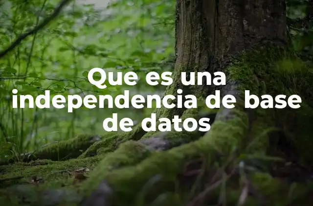 Que es una Independencia de Base de Datos