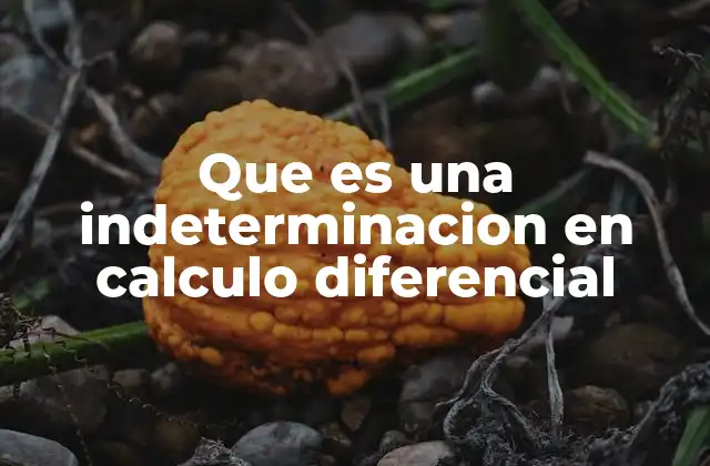 Que es una Indeterminacion en Calculo Diferencial