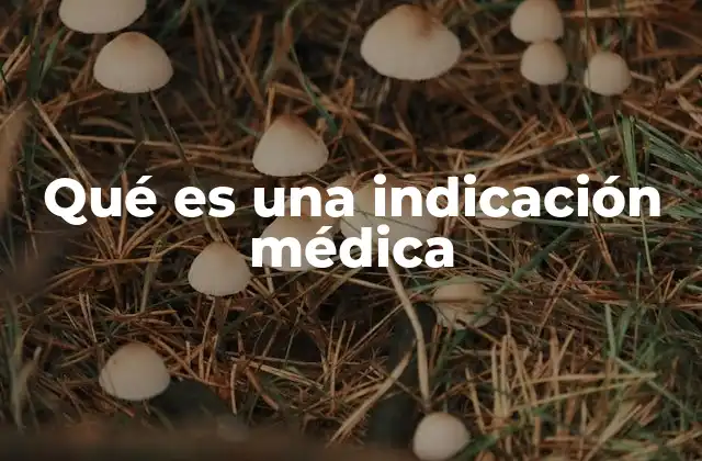 Qué es una Indicación Médica