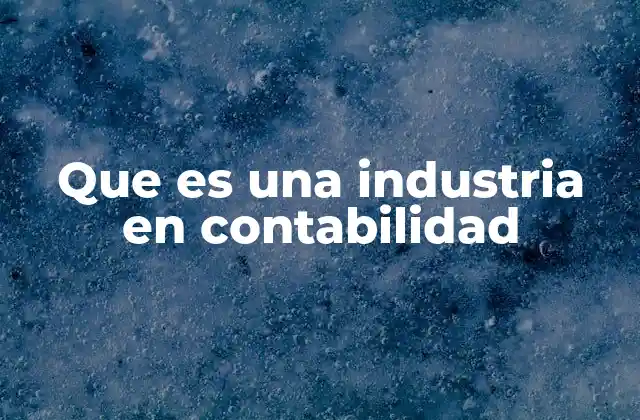 Que es una Industria en Contabilidad