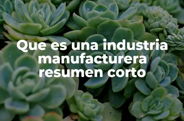 Que es una Industria Manufacturera Resumen Corto
