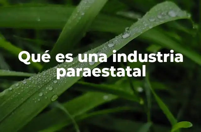 El papel de las industrias paraestatales en la economía nacional
