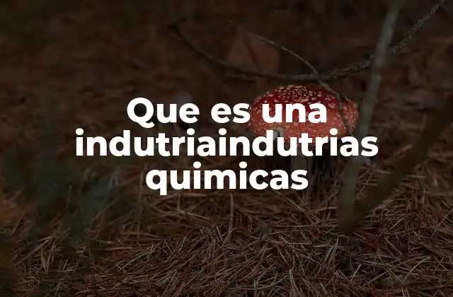 Que es una Indutriaindutrias Quimicas