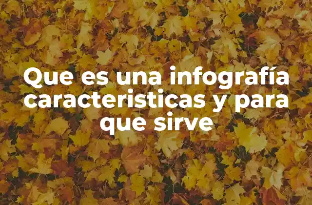 Que es una Infografía Caracteristicas y para que Sirve