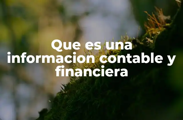 Que es una Informacion Contable y Financiera