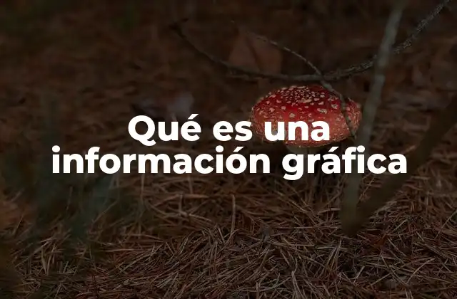 Qué es una Información Gráfica