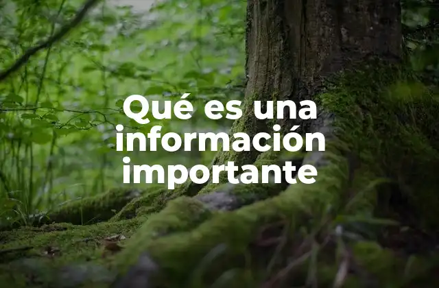 Qué es una Información Importante