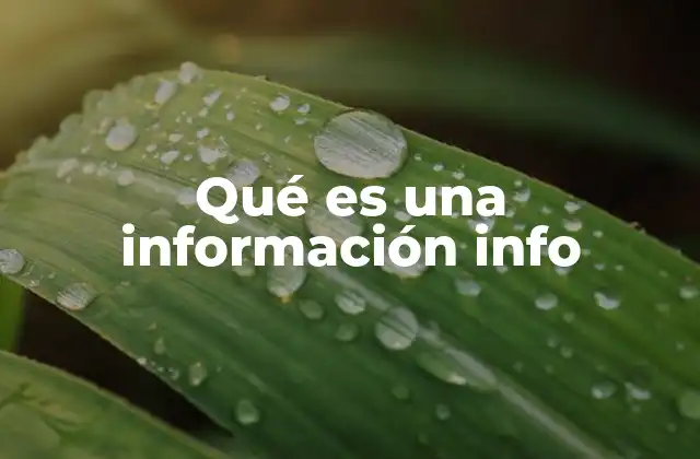 Qué es una Información Info