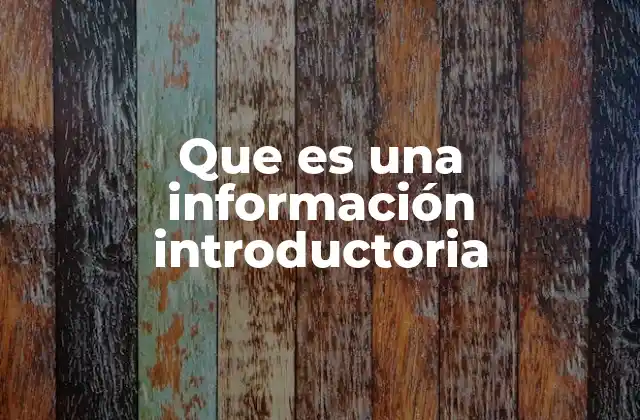Que es una Información Introductoria