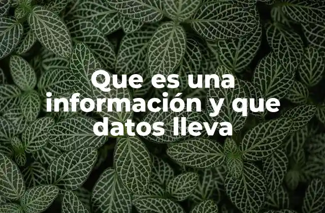 Que es una Información y que Datos Lleva 2 El proceso de transformación de datos a información