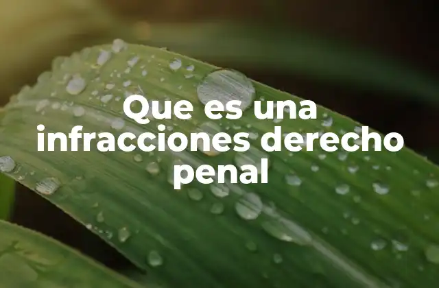 Que es una Infracciones Derecho Penal