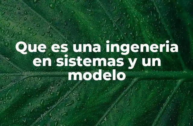 Que es una Ingeneria en Sistemas y un Modelo