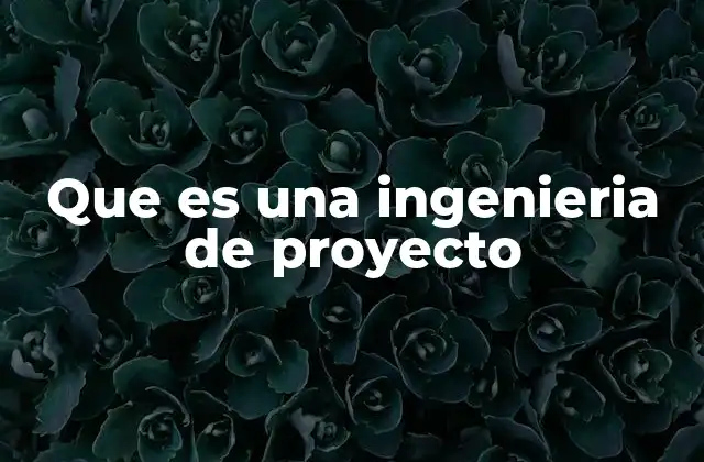 Que es una Ingenieria de Proyecto